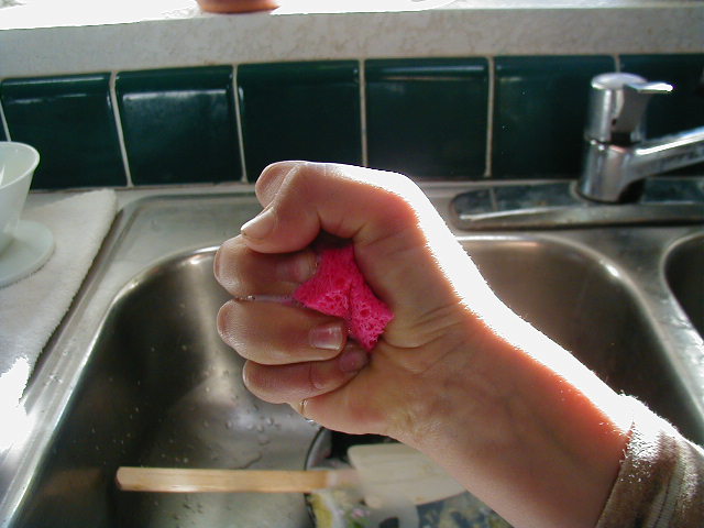 Get the sponge wet and then squeeze it out. A good sponge will absorb water 